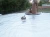 sam_0659